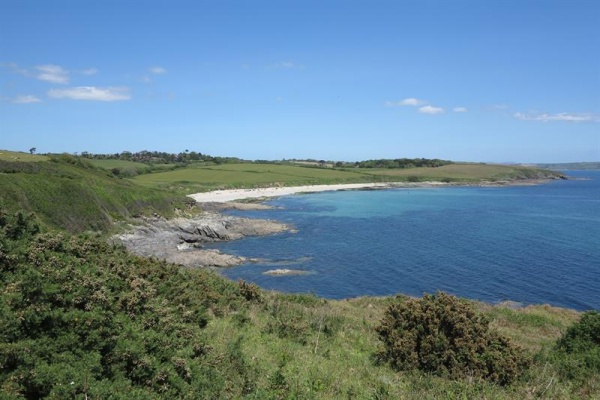 Towan Beach Photo