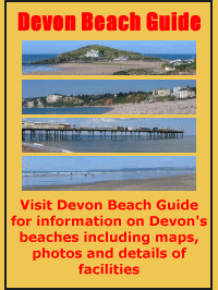 Cornwall Beach Guide Link