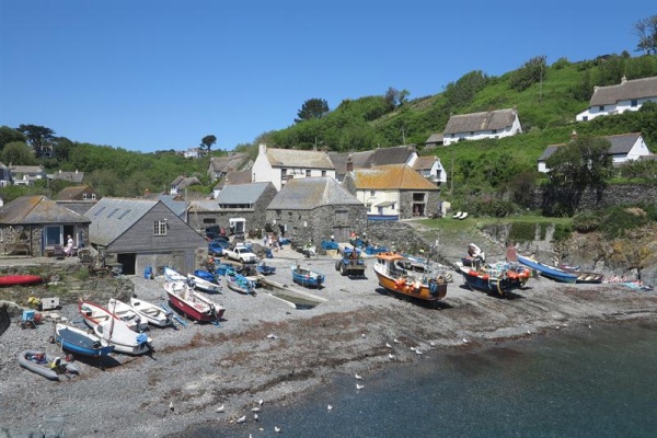 cadgwith Photo