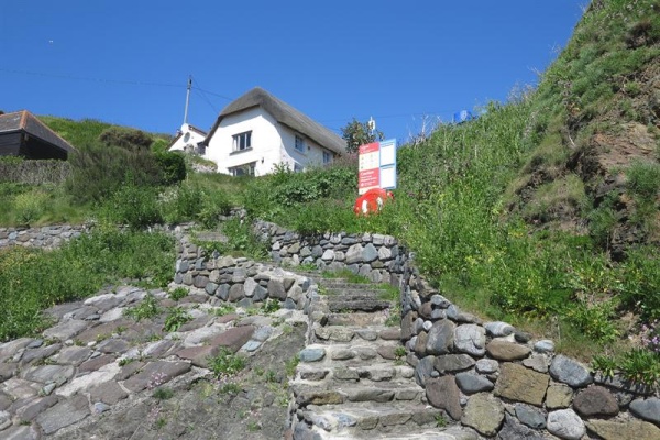 cadgwith Photo