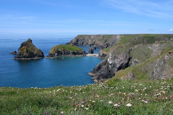 kynance cove Photo