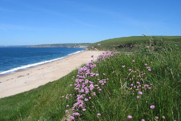 loe bar Photo