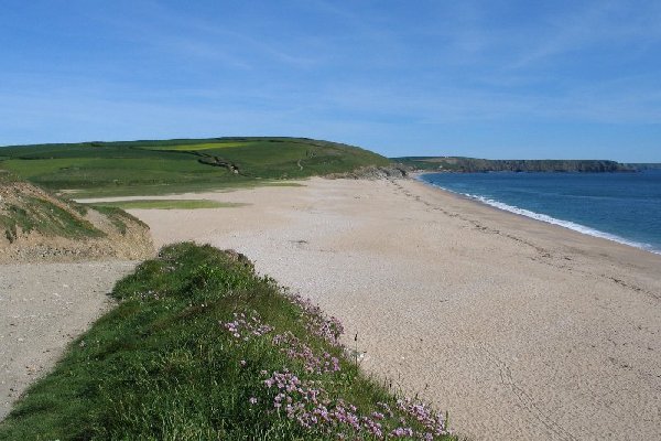 loe bar Photo
