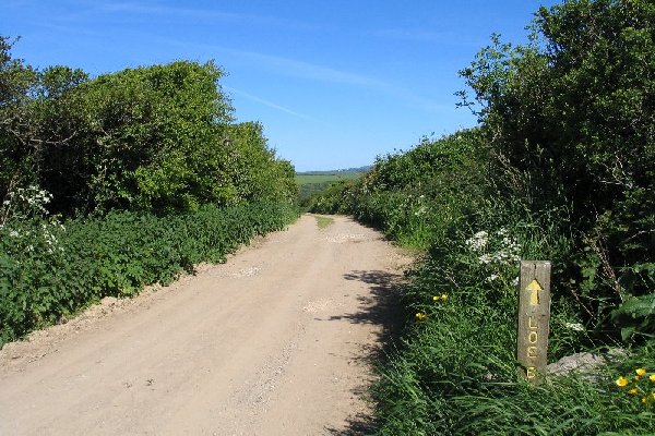 loe bar Photo