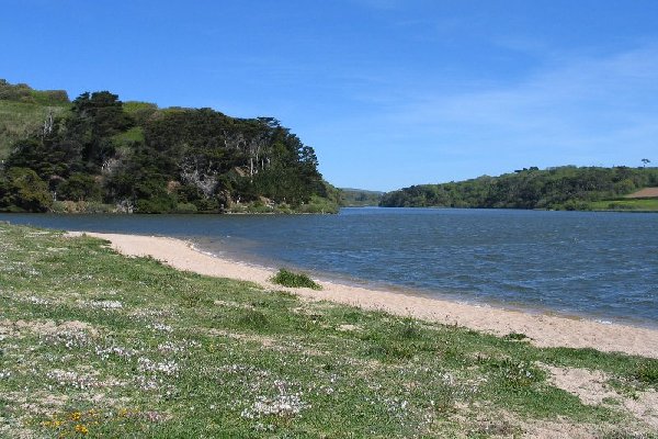 loe bar Photo