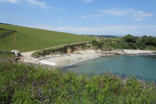 Colona Beach Photo