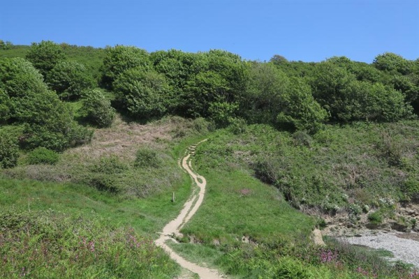 coombe hawne Photo
