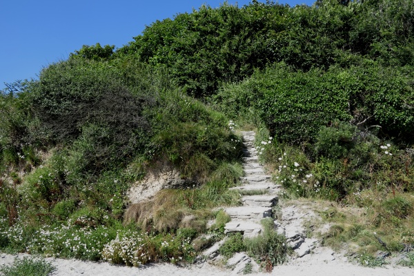 polridmouth Photo