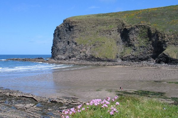 crackington Photo