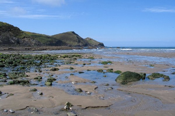 crackington Photo