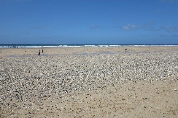 fistral Photo