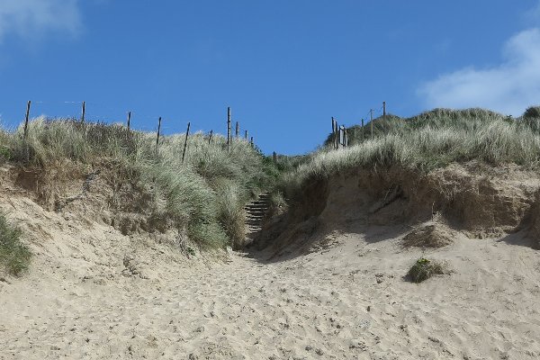 fistral Photo