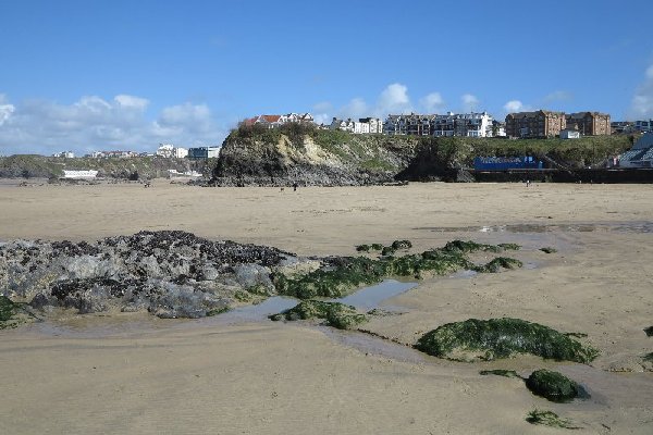 newquay Photo