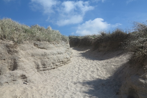 porthcothan Photo