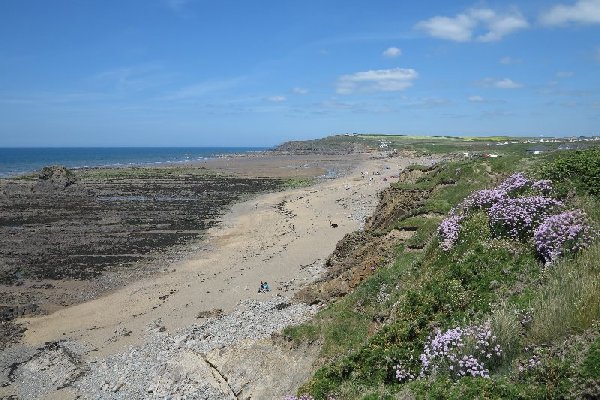 widemouth Photo