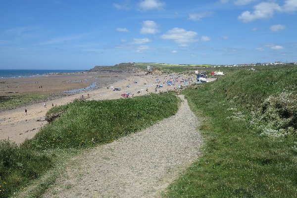 widemouth Photo