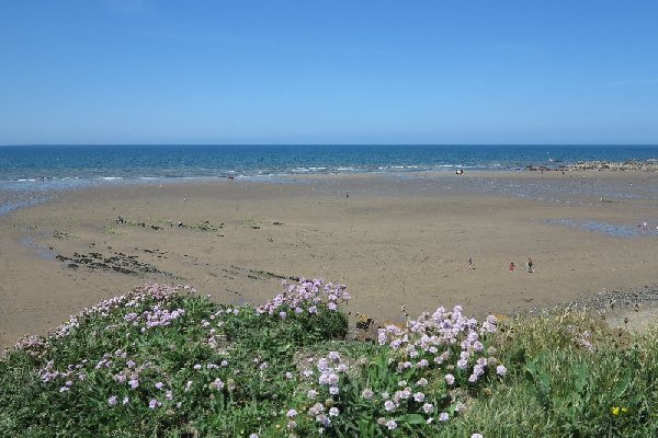 widemouth Photo