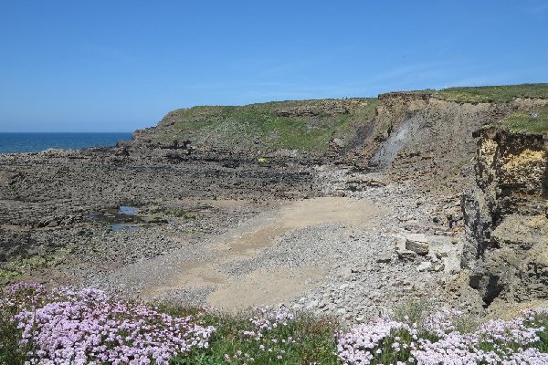 widemouth Photo